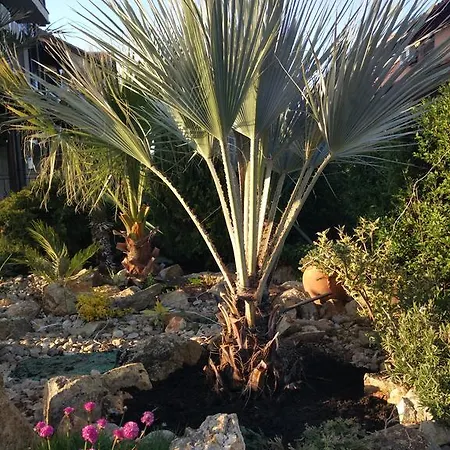 Sani Holiday Village