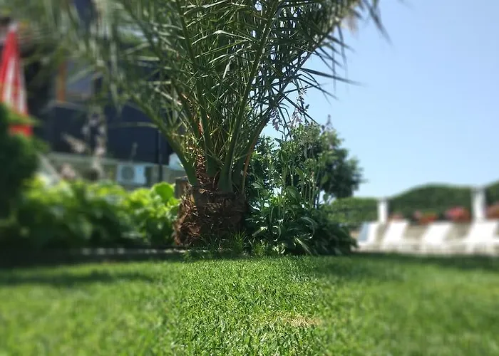 Sani Village * Süzebolu